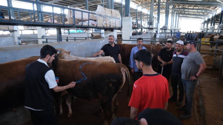 İNEGÖL MODERN HAYVAN PAZARI BEŞİNCİ KEZ BAYRAM SEVİNCİ YAŞATTI