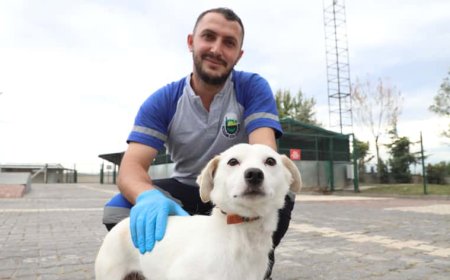 İnegöl Belediyesi’nden Can Dostlarına Yeni Yuva