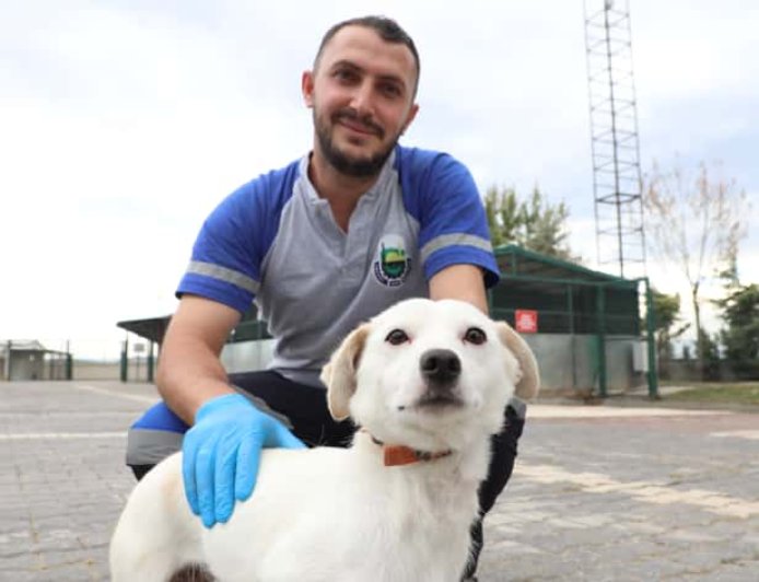 İnegöl Belediyesi’nden Can Dostlarına Yeni Yuva