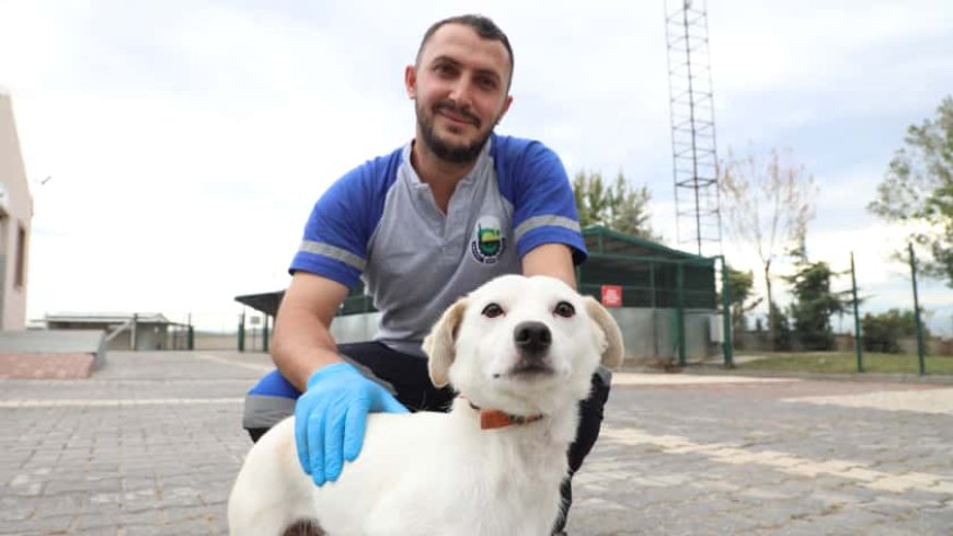 İnegöl Belediyesi’nden Can Dostlarına Yeni Yuva