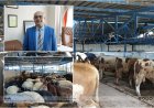 Bursa Kasaplar Odası Başkanı Yıldız: Pazarlarda yeterli sayıda kurbanlık bulunuyor