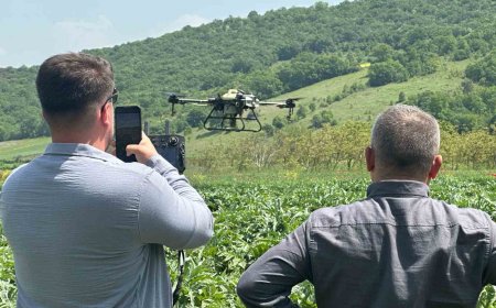 Kestel Belediyesinden çiftçiye drone desteği; hem zamandan hem yakıttan tasarruf