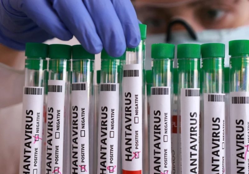 Sağlık Bakanlığı’ndan hantavirüs açıklaması