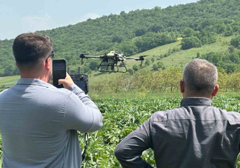 Kestel Belediyesinden çiftçiye drone desteği; hem zamandan hem yakıttan tasarruf